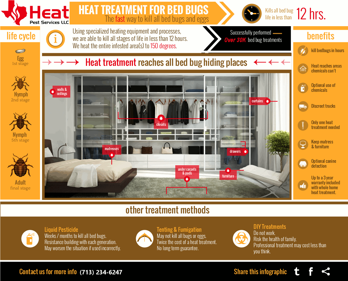 Houston Bed Bug Treatment Infographic