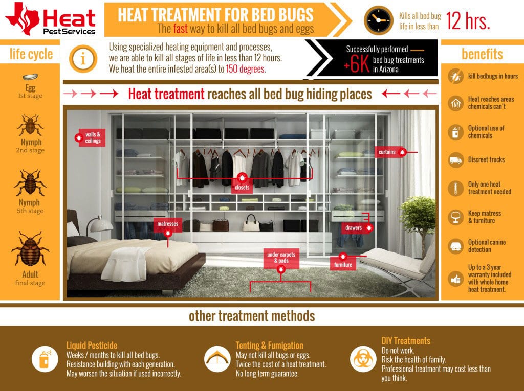 Bed bug heat treatment infographic