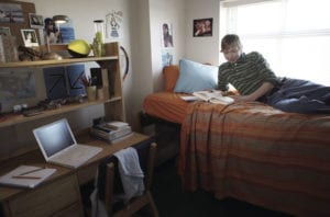 bedbugdorm article