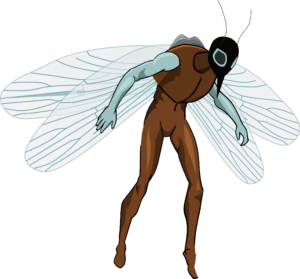 Mosquito Control